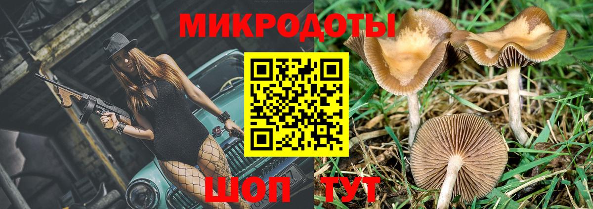 Шумерля  Псилоцибиновые грибы Psilocybe  где купить наркотик  Вход с VPN 