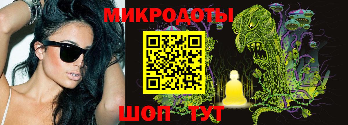 Псилоцибиновые грибы Psilocybine cubensis  Шумерля 