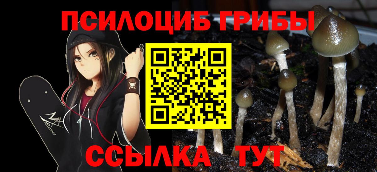Галлюциногенные грибы Psilocybine cubensis Шумерля